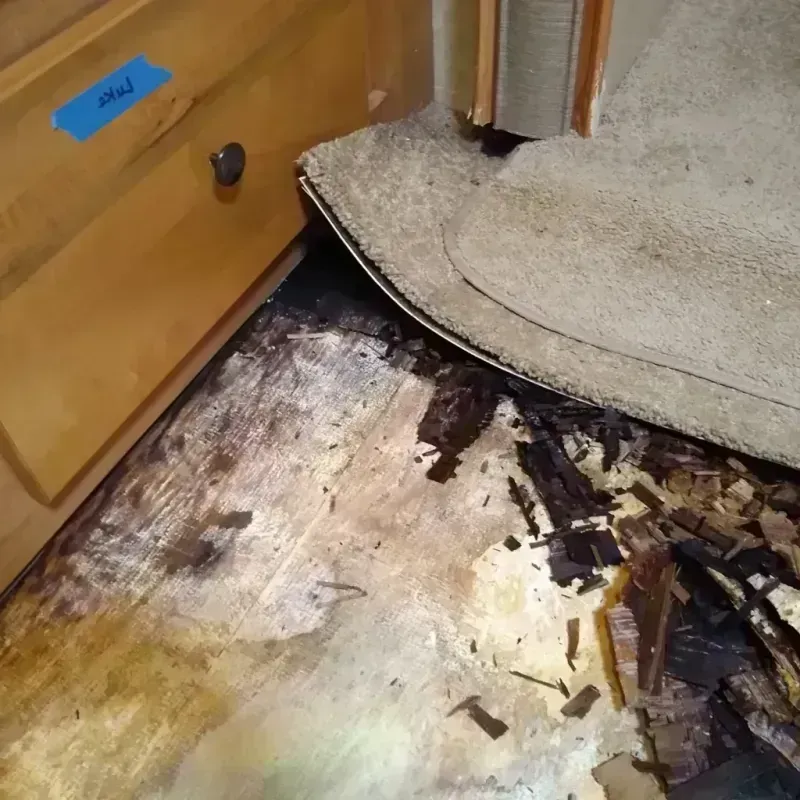 Wood Floor Water Damage in Silver Hill, MD